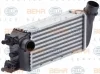 Превью - 8ML 376 900-421 BEHR/HELLA/PAGID Интеркулер (радиатор интеркулера) (фото 6)