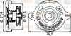 8MY 376 742-181 BEHR/HELLA/PAGID Крышка расширительного бачка системы охлаждения