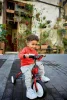 Превью - 80932451012 MINI Детский трехколесный велосипед MINI Tricycle, Chili Red (фото 4)