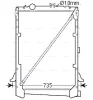 DF2031 AVA Радиатор, охлаждение двигателя