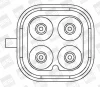 Превью - ZS406 BorgWarner (BERU) Катушка зажигания (фото 2)