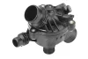 Превью - 410086.97D0 BorgWarner (Wahler) Термостат, охлаждающая жидкость (фото 2)