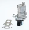 711030D BorgWarner (Wahler) Клапан возврата ОГ