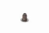 BSG 30-116-117 BSG Уплотнительное кольцо, стержень клапана