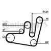 Превью - 6PK1660D2 CONTINENTAL CTAM Поликлиновой ременный комплект (фото 2)