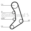 Превью - CT758 CONTINENTAL CTAM Зубчатый ремень (фото 3)