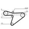 Превью - CT810 CONTINENTAL CTAM Зубчатый ремень (фото 3)