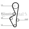Превью - CT916 CONTINENTAL CTAM Зубчатый ремень (фото 3)