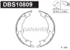 DBS10809 DANAHER Комплект тормозных колодок, стояночная тормозная система