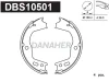 DBS10501 DANAHER Комплект тормозных колодок, стояночная тормозная система