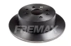 Превью - BD-9209 FREMAX Тормозной диск (фото 4)