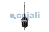Превью - 2251400 COJALI Тормозной цилиндр с пружинным энергоаккумулятором (фото 7)