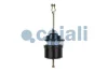 Превью - 2251503 COJALI Тормозной цилиндр с пружинным энергоаккумулятором (фото 7)