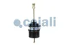 Превью - 2251500 COJALI Тормозной цилиндр с пружинным энергоаккумулятором (фото 7)