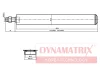 DSA665063 DYNAMAX Амортизатор