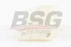BSG 30-550-010 BSG Компенсационный бак, охлаждающая жидкость