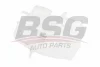BSG 65-550-008 BSG Компенсационный бак, охлаждающая жидкость