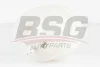 BSG 90-550-002 BSG Компенсационный бак, охлаждающая жидкость