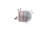 Превью - 056003N AKS DASIS масляный радиатор, двигательное масло (фото 4)