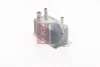 Превью - 226004N AKS DASIS масляный радиатор, двигательное масло (фото 2)