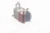Превью - 226004N AKS DASIS масляный радиатор, двигательное масло (фото 10)