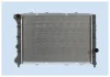 Превью - 0113.3008 FRIGAIR Радиатор, охлаждение двигателя (фото 2)