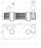 Превью - 31186 NRF Масляный радиатор, автоматическая коробка передач (фото 3)