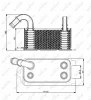 Превью - 31192 NRF Масляный радиатор, автоматическая коробка передач (фото 2)