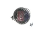 Превью - 138076N AKS DASIS Сцепление, вентилятор радиатора (фото 2)