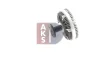 Превью - 138880N AKS DASIS Сцепление, вентилятор радиатора (фото 12)