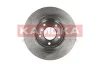 Превью - 1031007 KAMOKA Тормозной диск (фото 4)