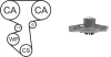 WPK-167501 AIRTEX Водяной насос + комплект зубчатого ремня