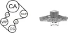 WPK-169101 AIRTEX Водяной насос + комплект зубчатого ремня
