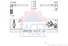 4.8613 FACET Комплект проводов зажигания