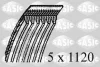 1770046 SASIC Ремень ручейковый (приводной, поликлиновой)