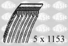 1770052 SASIC Ремень ручейковый (приводной, поликлиновой)