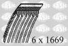 1770113 SASIC Ремень ручейковый (приводной, поликлиновой)