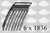 1774053 SASIC Ремень ручейковый (приводной, поликлиновой)