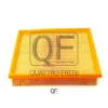 QF36A00220 QUATTRO FRENI Фильтр