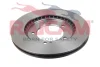 Превью - RD01002 RAICAM Тормозной диск (фото 5)