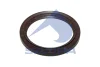 Превью - 031.042 SAMPA Уплотняющее кольцо, ступица колеса (фото 2)