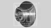 Превью - 03.110.0275.820 ST-TEMPLIN Тормозной диск (фото 2)