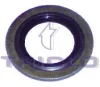 Превью - 322589 TRICLO Уплотнительное кольцо, резьбовая пробка маслосливн. отверст. (фото 3)