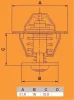 Превью - TH5750.88J VERNET-CALORSTAT Термостат, охлаждающая жидкость (фото 2)