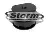 F10507 Storm Подвеска, двигатель