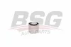 BSG 60-700-193 BSG Опора, дифференциал