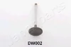 VV-DW002 JAPANPARTS Впускной клапан