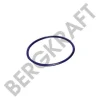 Превью - BK2881121SP BERGKRAFT Уплотнительное кольцо (фото 2)