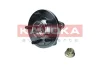 Превью - 5500291 KAMOKA Комплект подшипника ступицы колеса (фото 5)