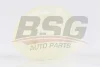 BSG 90-465-004 BSG Втулка, шток вилки переключения передач